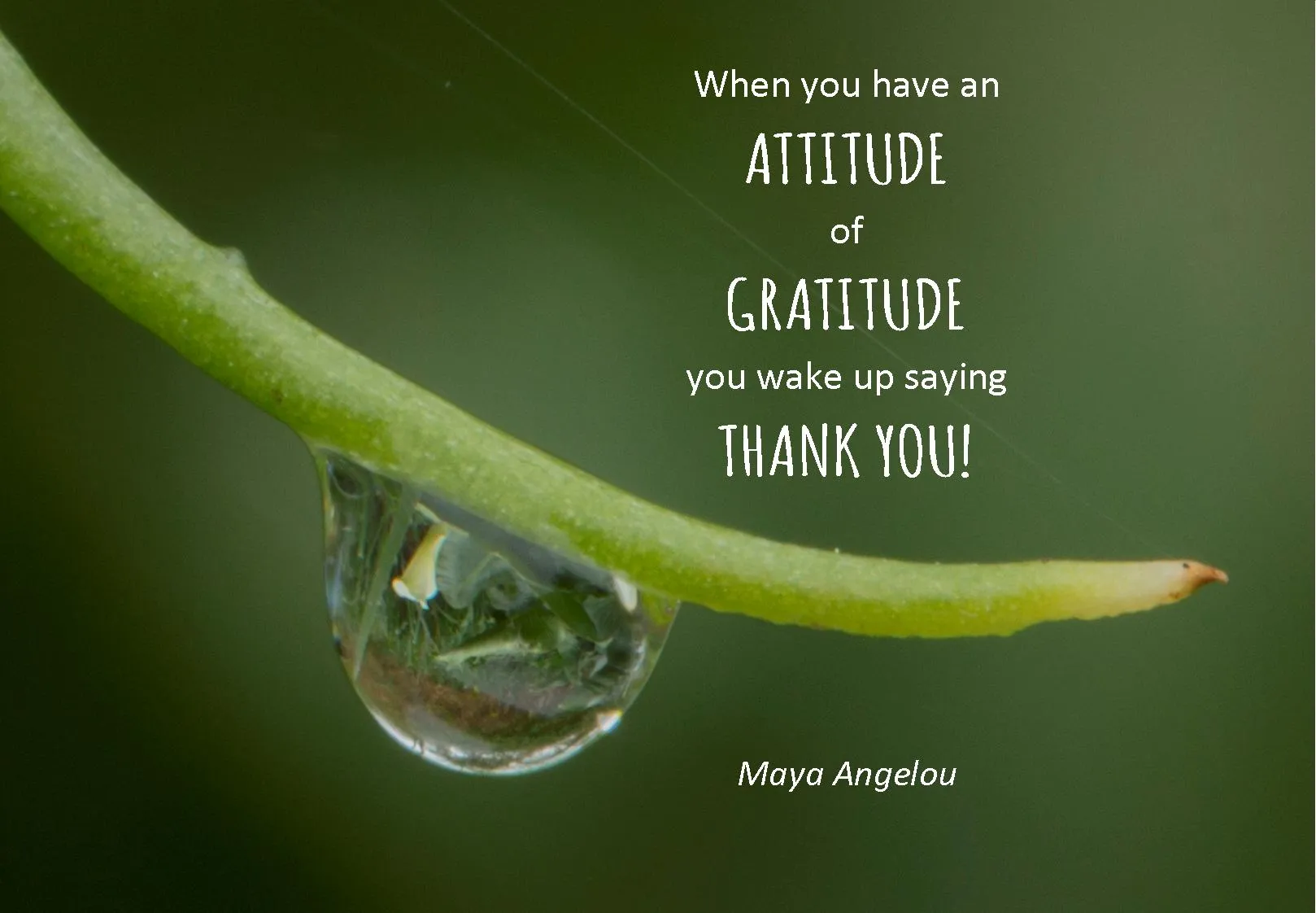 Living A Life Of Gratitude