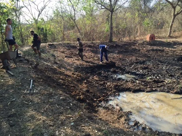 Dam before clearing