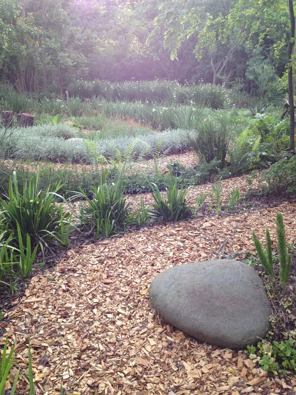 Labyrinth pathway