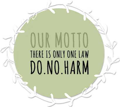 Do. No. Harm. — the guiding philosophy of Old Joe's Kaia