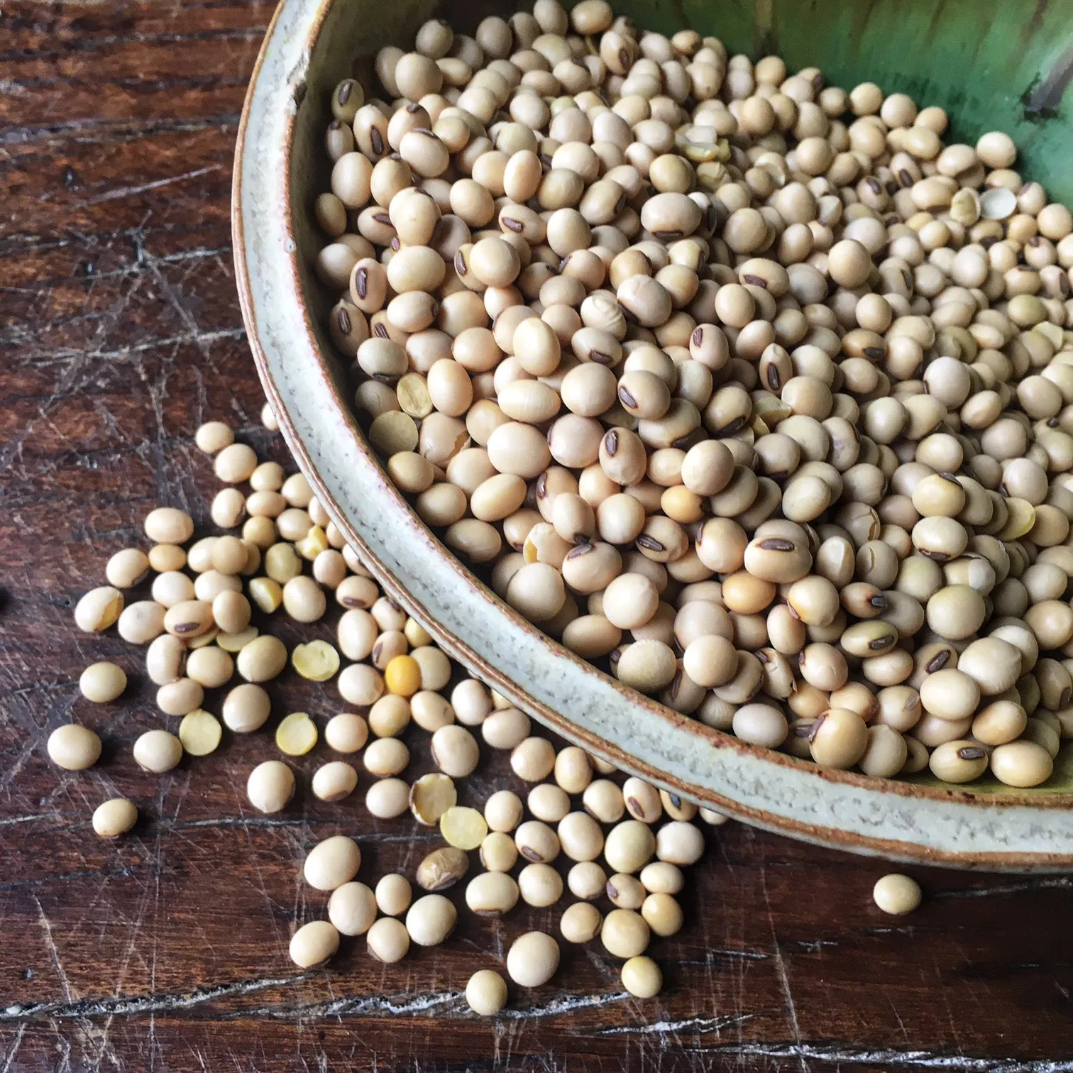 Preparing Pulses Through Soaking