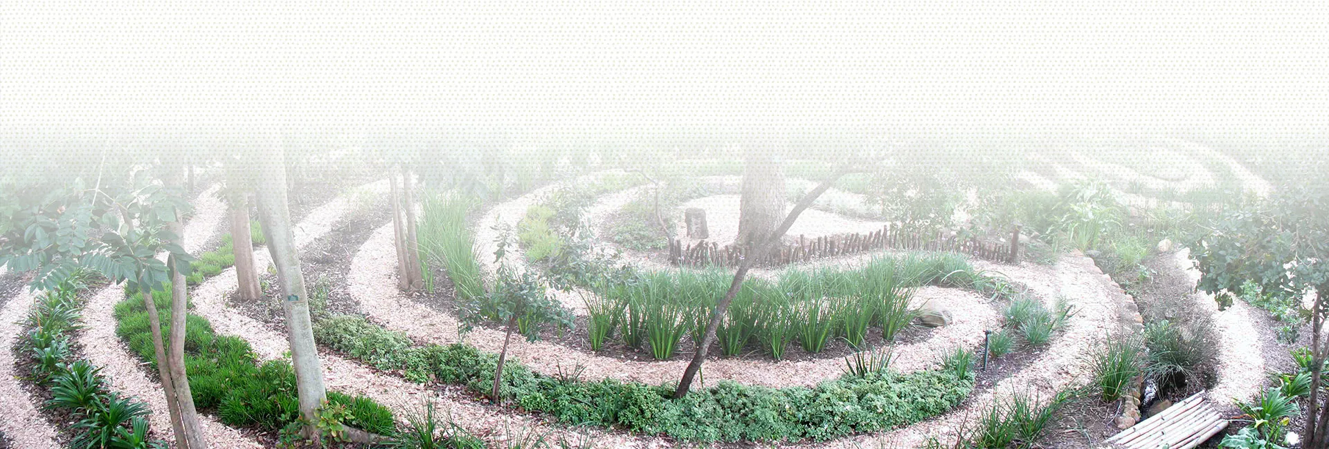 Old Joe's Kaia — the garden, the kitchen, and the rooms
