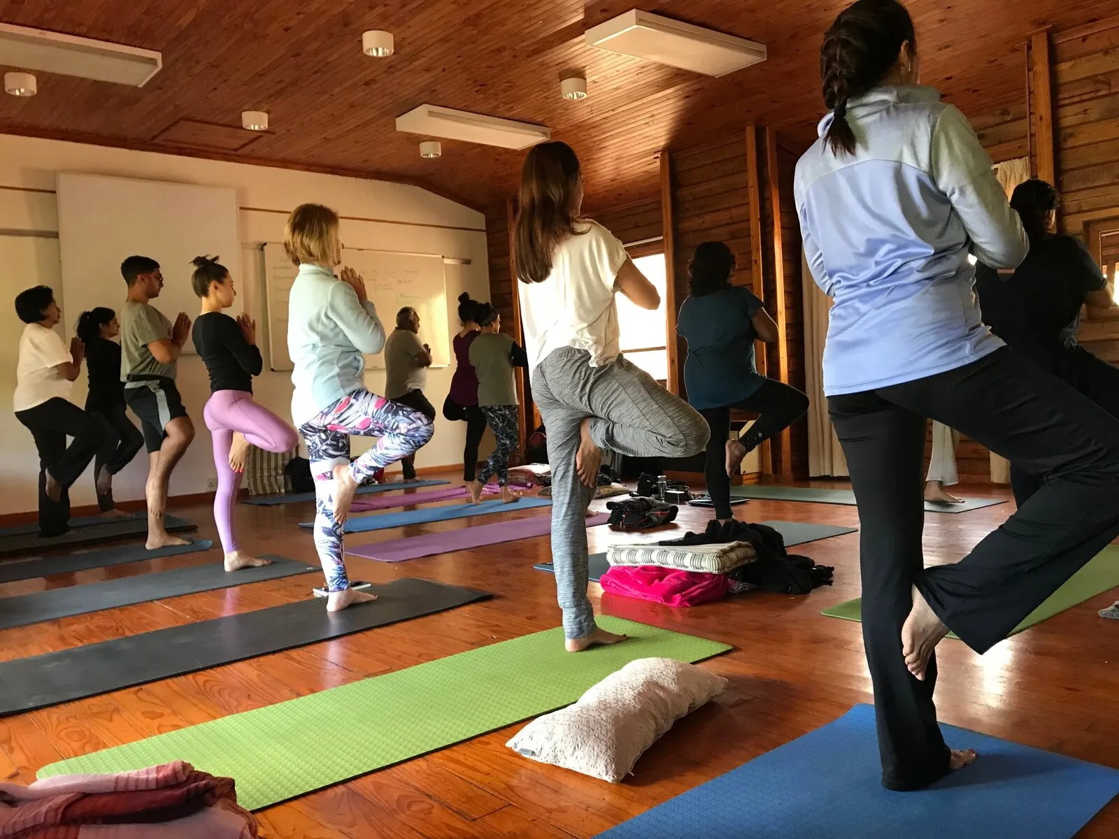 Yoga amongst the trees